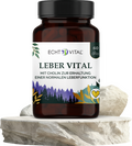 Leber Vital